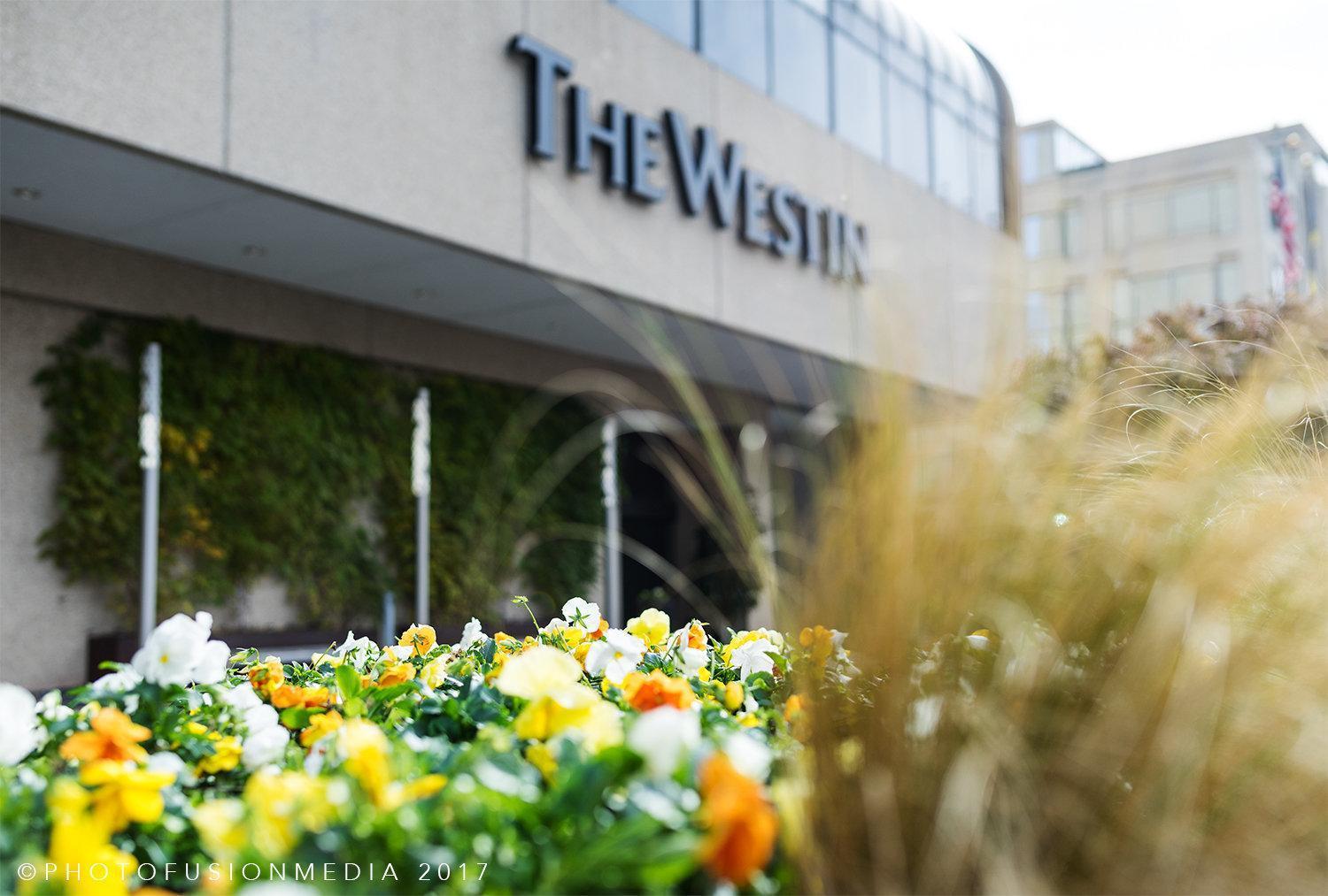 The Westin Crystal City Reagan National Airport Арлінгтон Екстер'єр фото